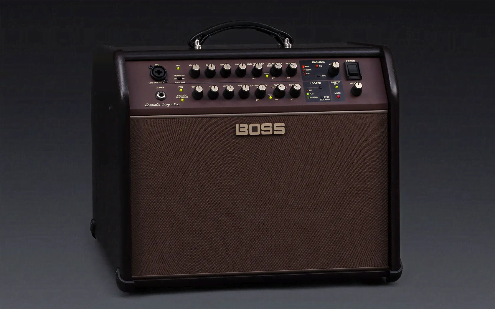 Boss Acoustic Singer Pro