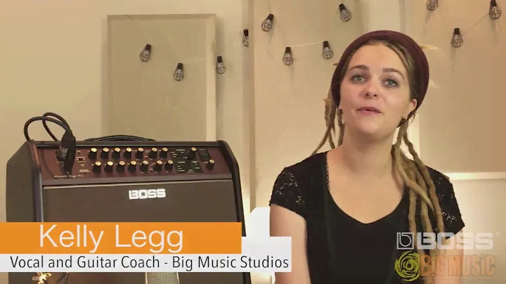 BOSS Acoustic Singer Pro Amplifier Review