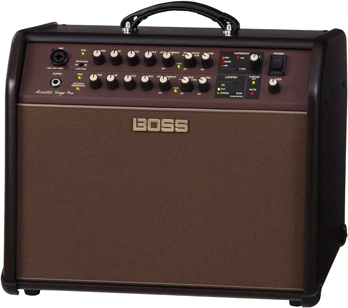 Boss Acoustic Singer Pro-2