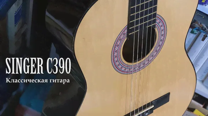 Гитара Singer C-390