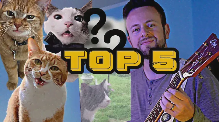Top 5 singing Cat